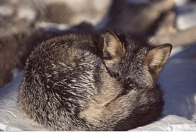 《马里奥派对:超级巨星 》发布1.1.1版本更新 修复若干问题